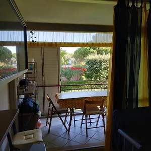 Miki Marina Di Bibbona