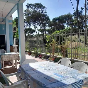 Bibbona Summer - Intero - Marina Di Bibbona